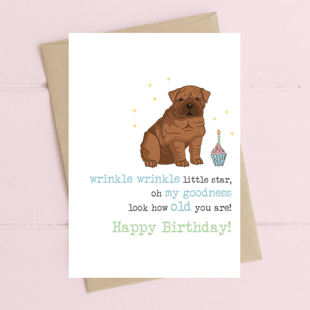wrinkle-wrinkle-little-star-greeting-card-dandelion-stationery