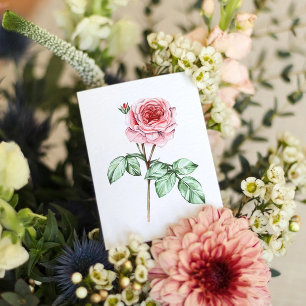 Pink Rose Mini Watercolour