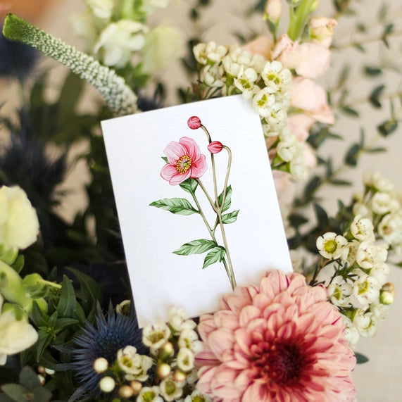 anemone-mini-watercolour-greeting-card-sophie-brabbins