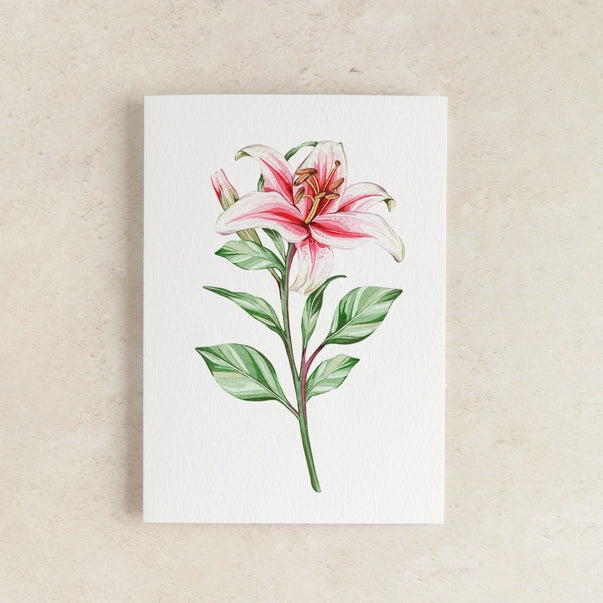 Mini Pink Lily Watercolour Greeting Card - Sophie Brabbins