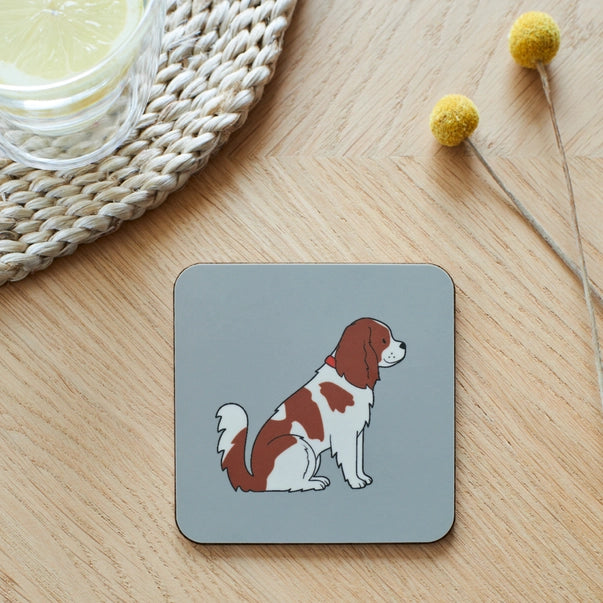 cavalier-king-charles-spaniel-coaster-sweet-william