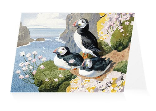 Puffins and Terns Notecards by Charles Tunnicliffe