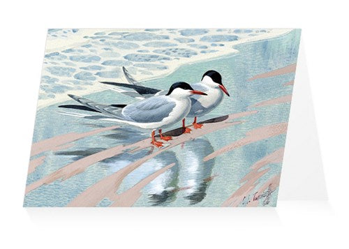 Puffins and Terns Notecards by Charles Tunnicliffe