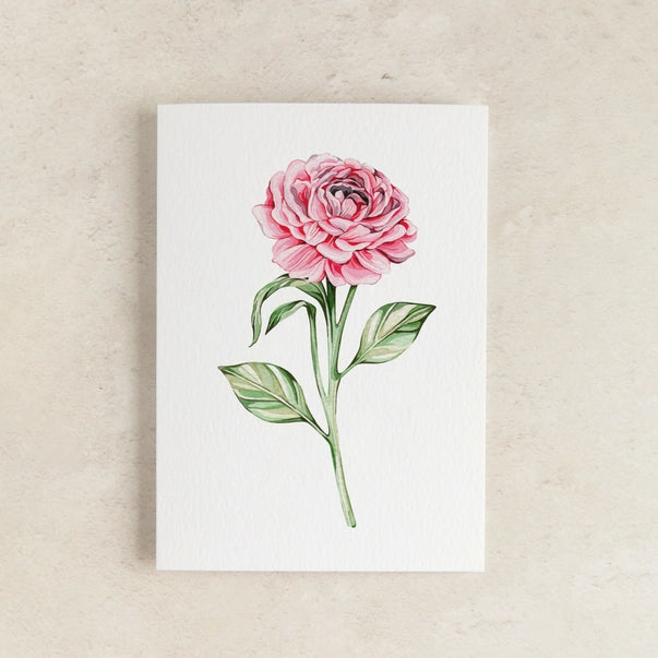 pink-peony-mini-watercolour-greeting-card-sophie-brabbins