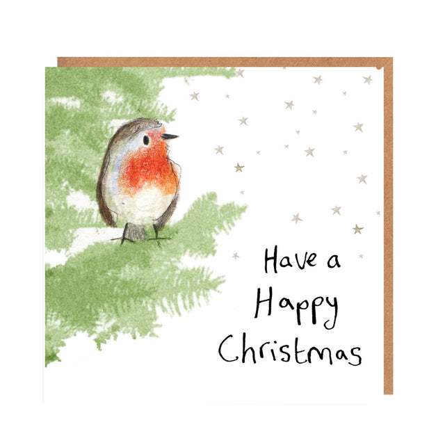 john-the-robin-charity-greeting-card-catherine-rayner