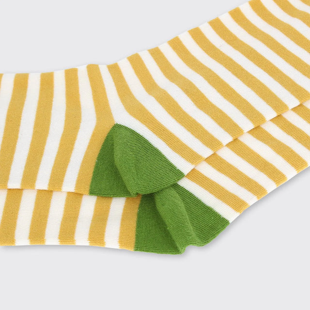 hector-mens-stripe-socks-sage-ochre-forever-england