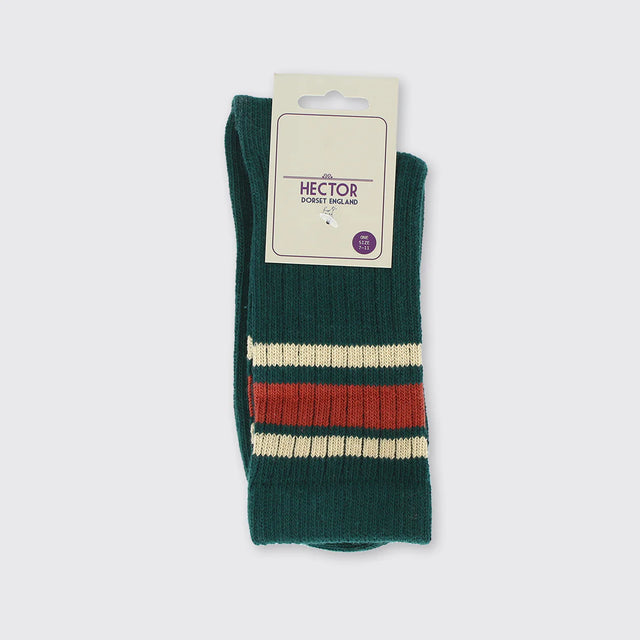 hector-mens-stripe-socks-green-forever-england