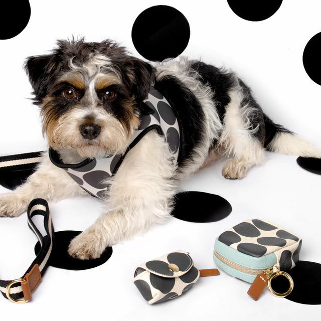 spotty-poo-bag-holder-caroline-gardner