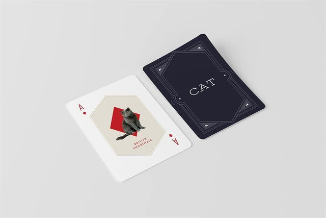 cat-dog-playing-cards-smith-street-gift