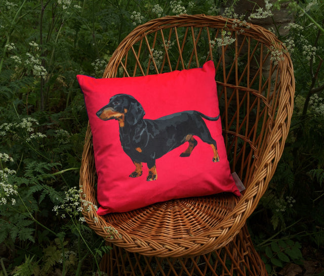 sausage-dog-velvet-cushion-tracey-cooper