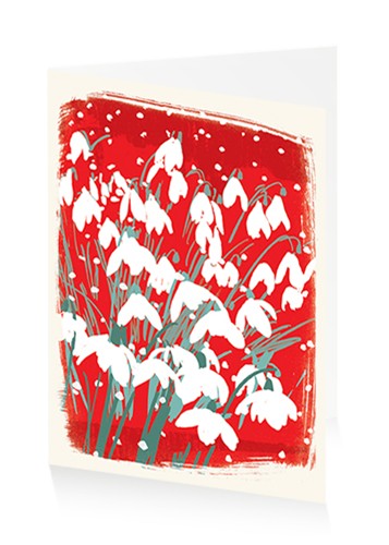 snowdrops-at-christmas-by-jenny-frean-art-press