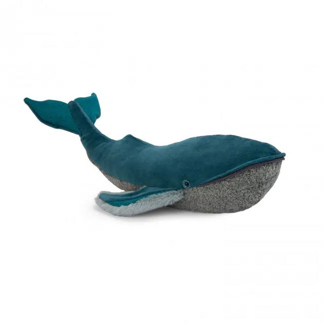 Large Whale: Tout Autor du Monde