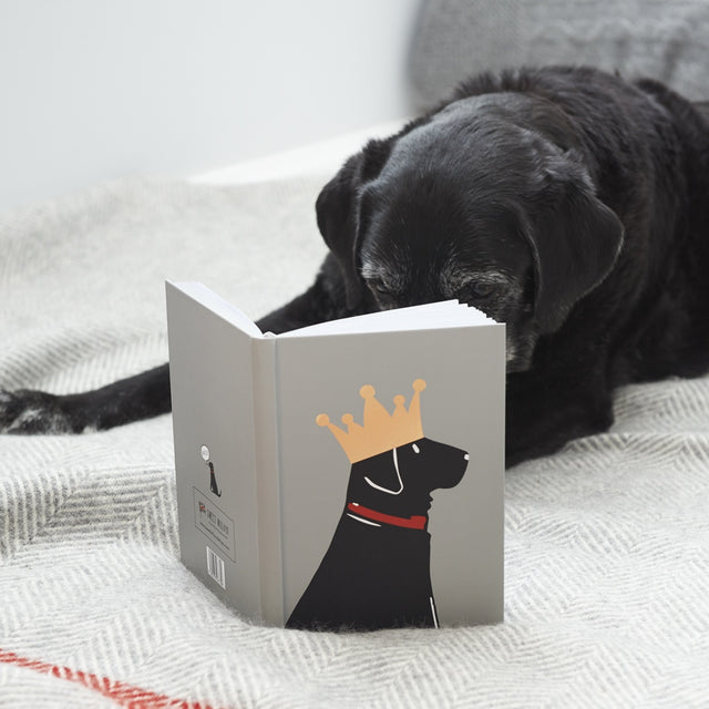 Black Labrador Notebook - Sweet William