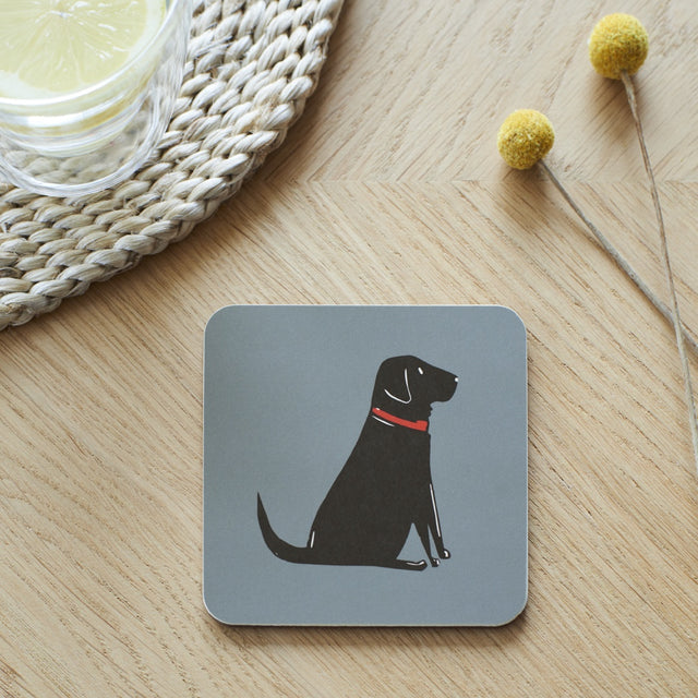 Black Labrador Coaster - Sweet William