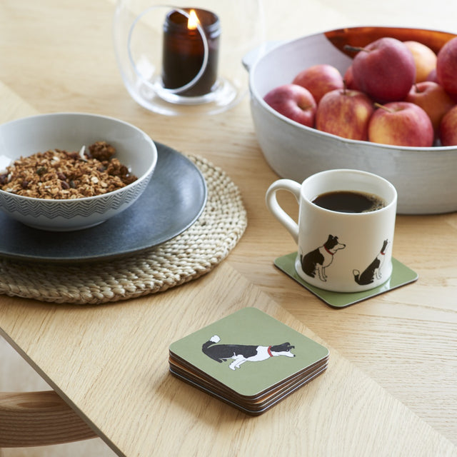 Border Collie Coaster - Sweet William