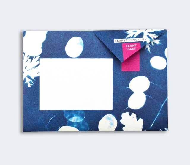 apothecary-pigeon-letters-pigeon