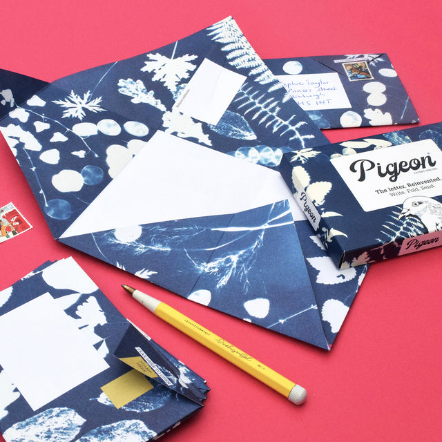 apothecary-pigeon-letters-pigeon