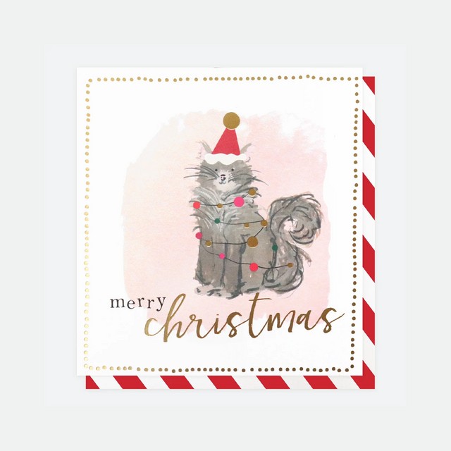Painted Cat Charity Christmas Pack - Caroline Gardner