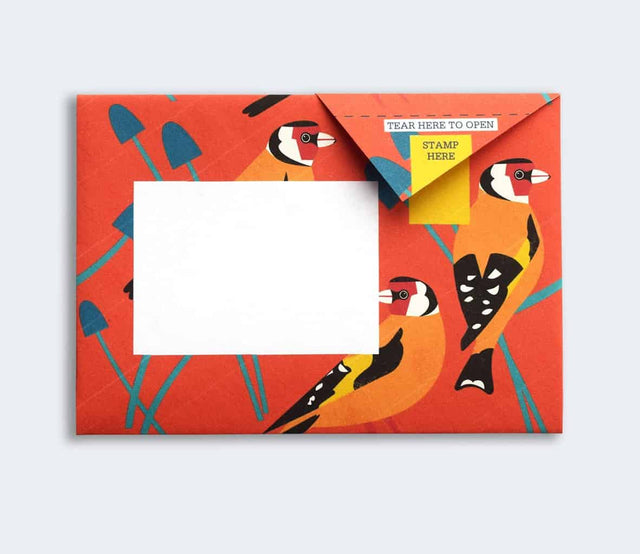 dawn-chorus-pigeon-letters-pigeon