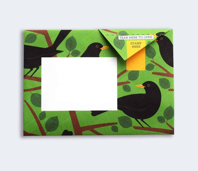 dawn-chorus-pigeon-letters-pigeon