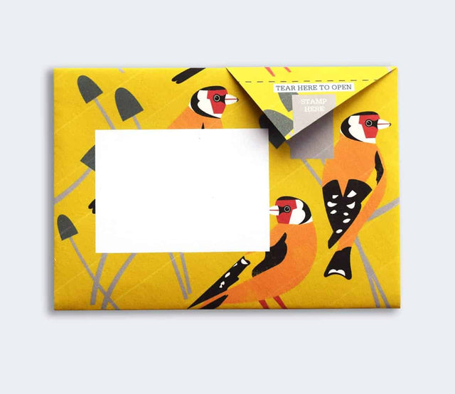dawn-chorus-pigeon-letters-pigeon