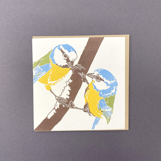 Blue Tit Letterpress Card - Penguin Ink