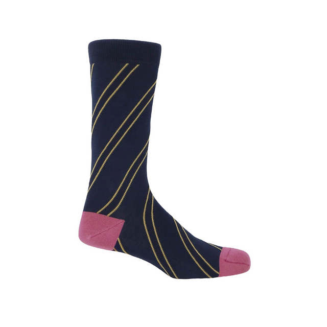 Kensington Navy Male Socks
