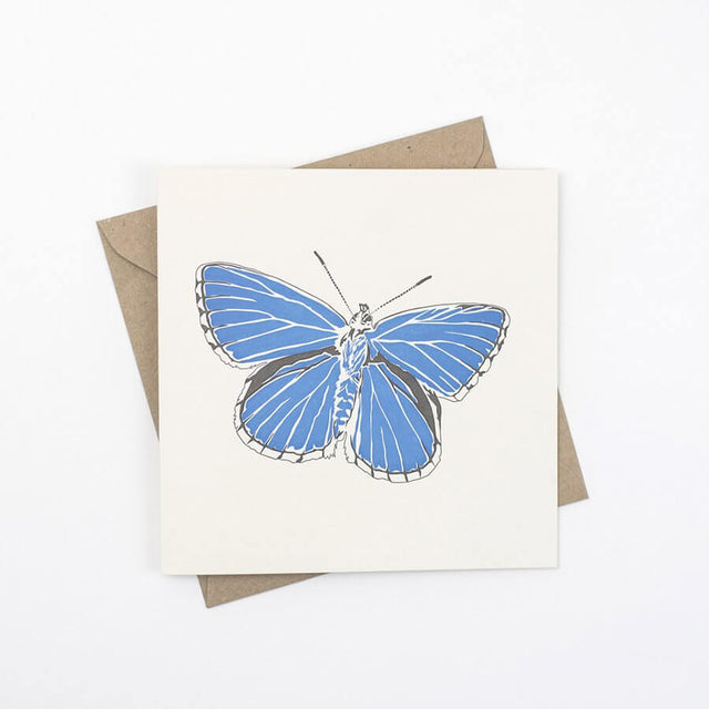 adonis-blue-butterfly-letterpress-card-penguin-ink