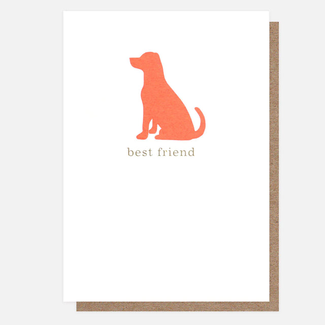 Best Friend Labrador