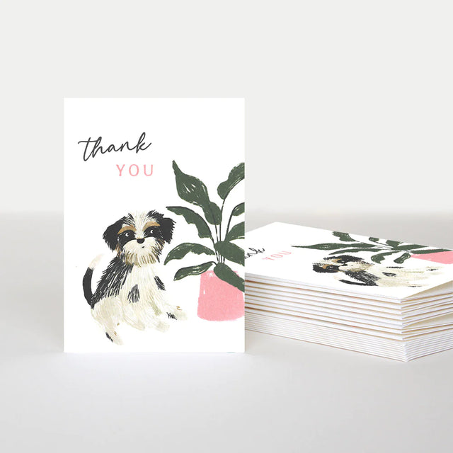 dog-plant-thank-you-pack-pack-of-10-caroline-gardner