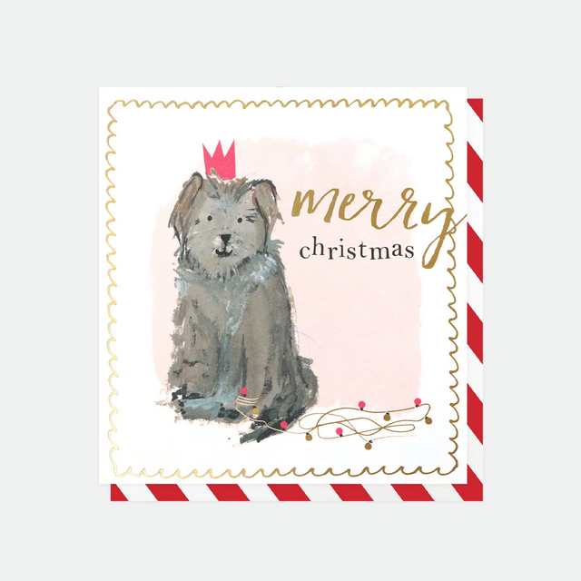 Painted Dog Charity Christmas Pack - Caroline Gardner