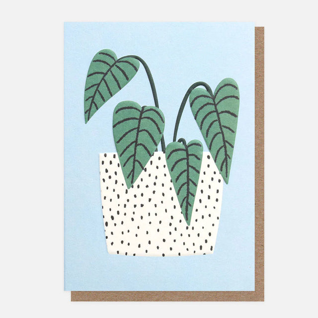 pot-in-plant-mini-card-caroline-gardner
