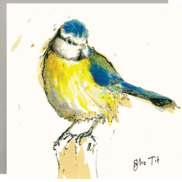 blue-tit-card-anna-wright