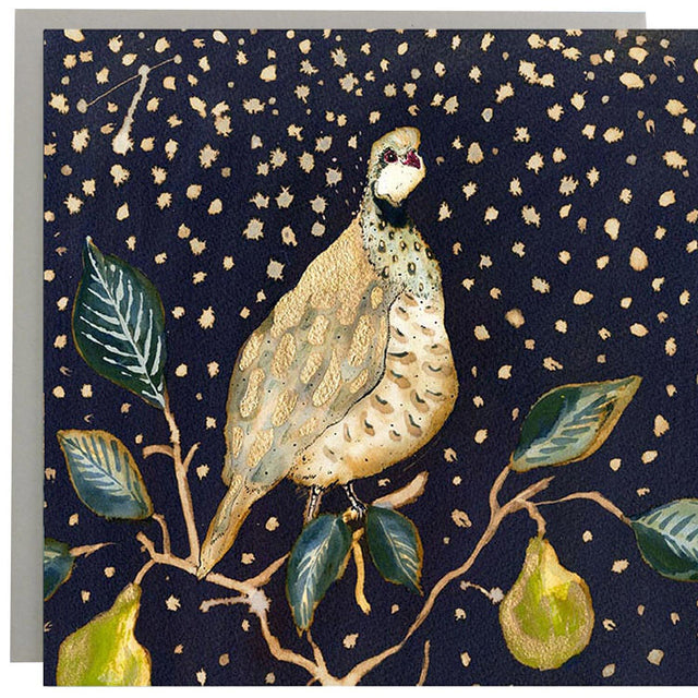 Twelve Days of Christmas Assorted Christmas Pack