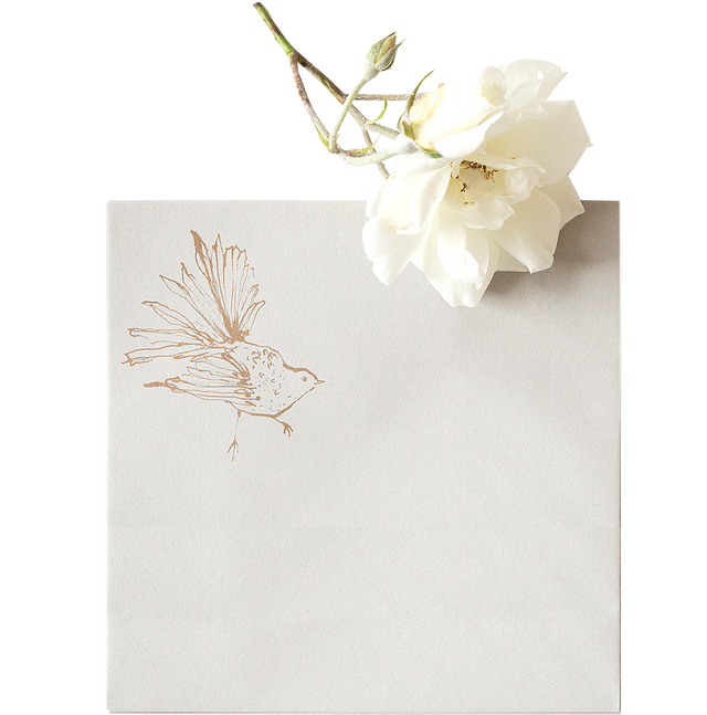 Twelve Days of Christmas Assorted Christmas Pack