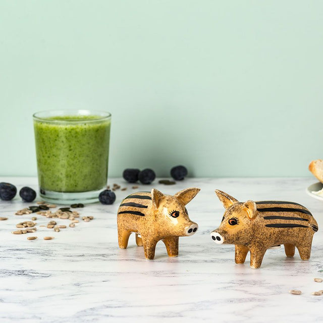 wild-boar-piglets-salt-pepper-hannah-turner