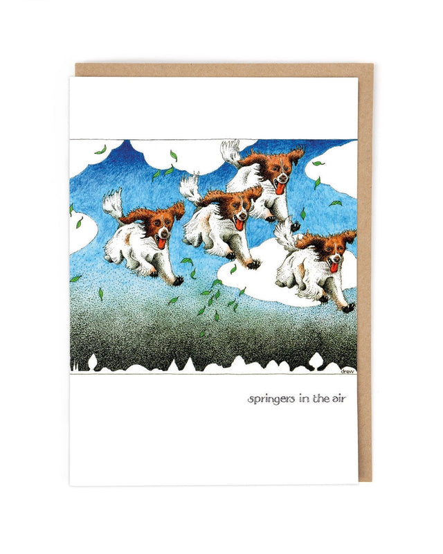 springers-simon-drew-greeting-card-cath-tate