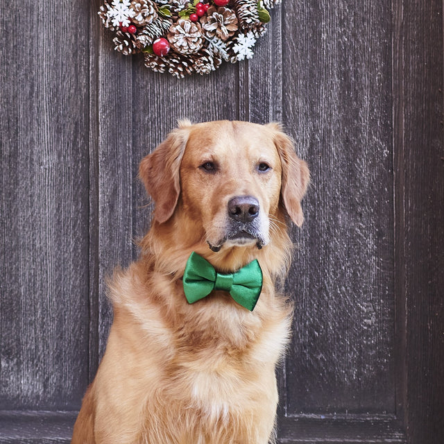 velvet-bow-tie-christmas-green-sweet-william