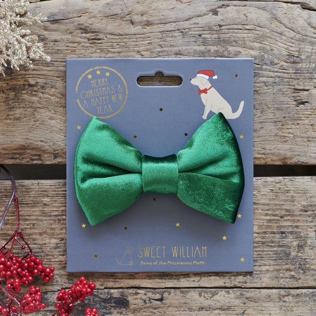 velvet-bow-tie-christmas-green-sweet-william