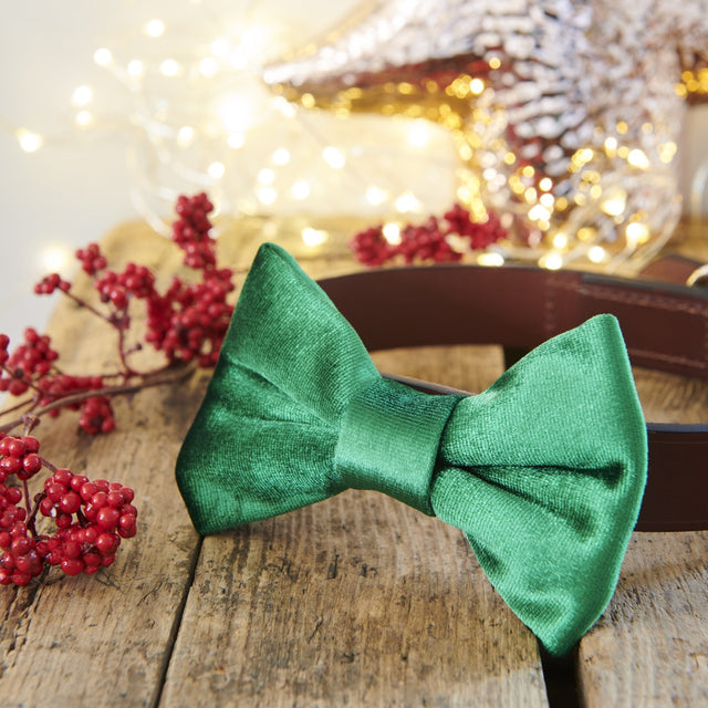velvet-bow-tie-christmas-green-sweet-william