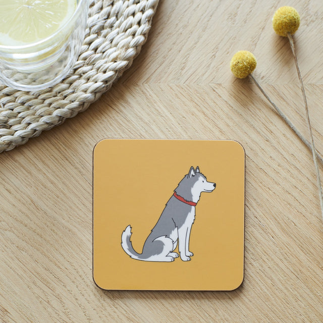 husky-alaskan-malamute-coaster-sweet-william