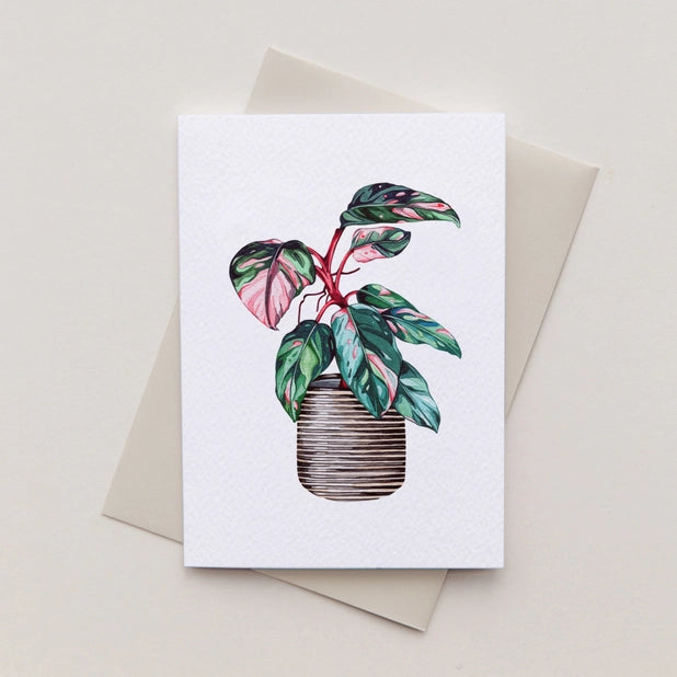 pink-green-house-plant-mini-watercolour-greeting-card-sophie-brabbins