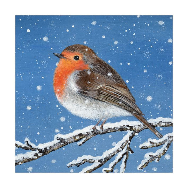 robin-in-the-snow-christmas-pack-museums-galleries