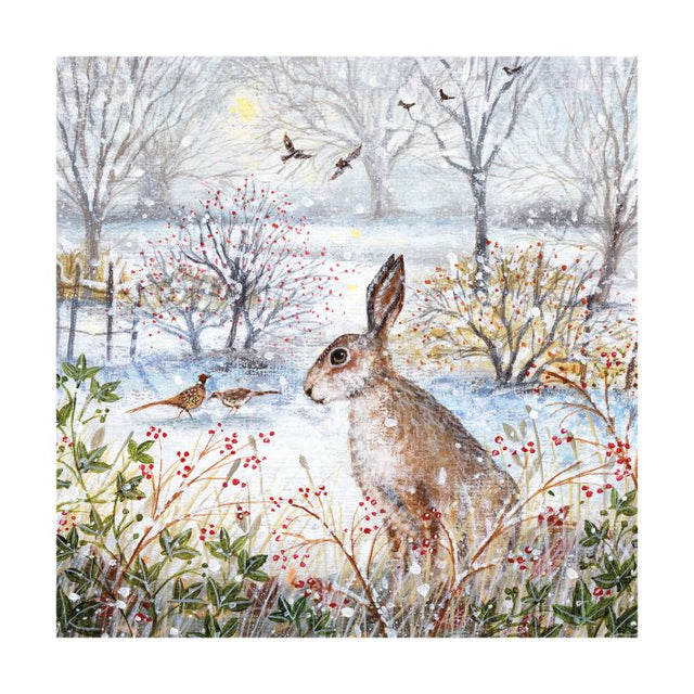 frosty-morning-hare-christmas-pack-museums-galleries