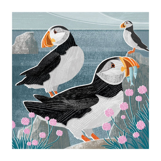 puffins-and-sea-thrift-mezzanine-greeting-card-museums-galleries
