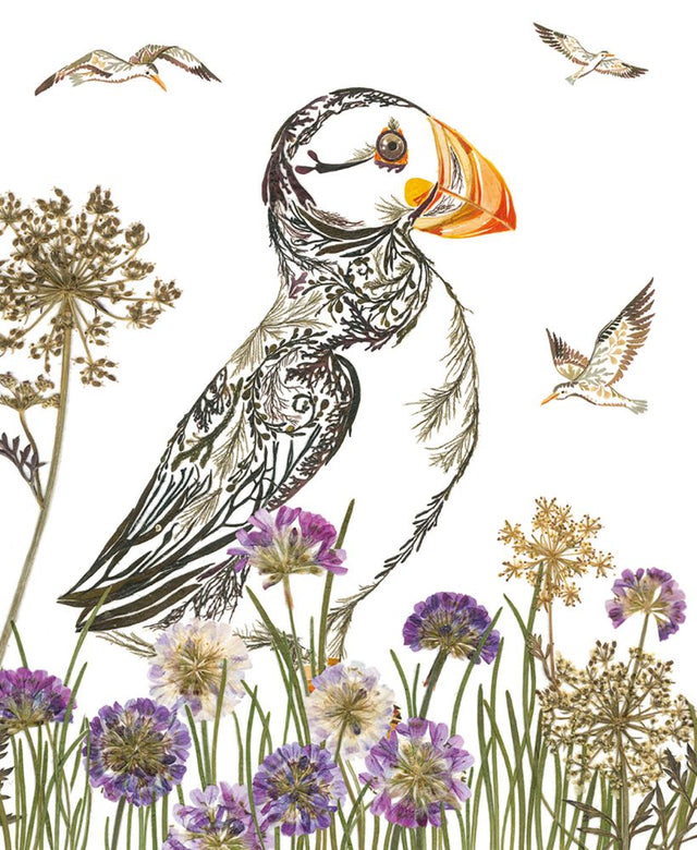 proud-puffin-wild-press-greeting-card-museums-galleries