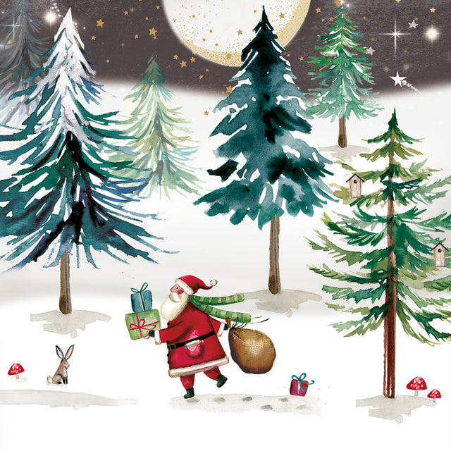 santa-in-the-snow-charity-christmas-box-museums-galleries