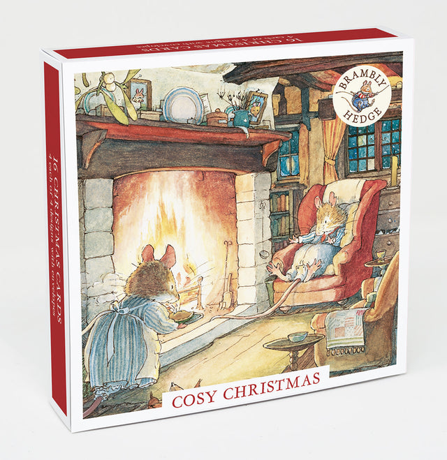 cosy-christmas-brambly-hedge-christmas-box-museums-galleries
