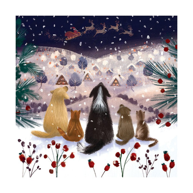 a-winters-tail-christmas-pack-museums-galleries
