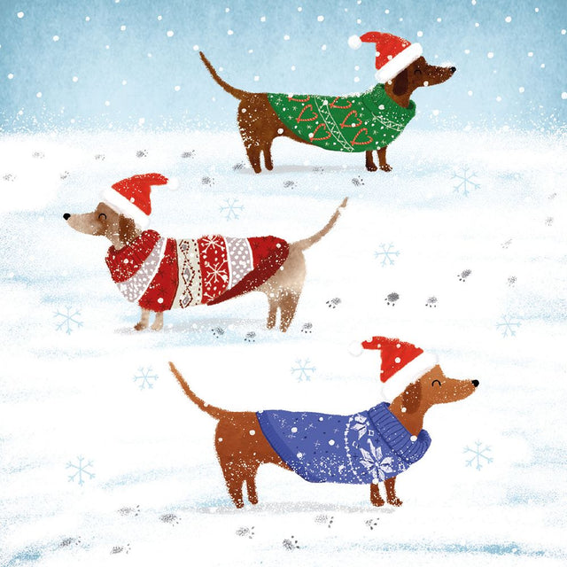 snowy-paw-prints-christmas-pack-museums-galleries